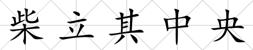 柴立其中央