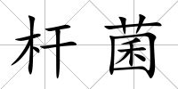 桿菌