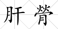 肝膋