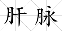 肝脈