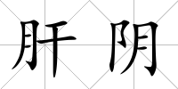 肝陰