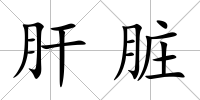 肝臟