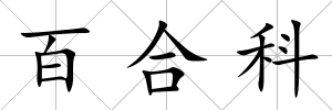 百合科