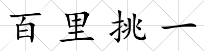 百里挑一