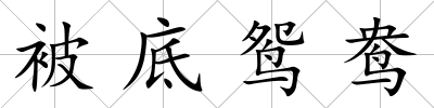 被底鴛鴦