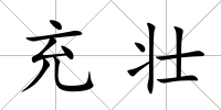 充壯