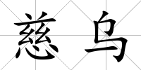 慈烏