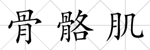 骨骼肌