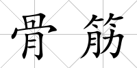 骨筋