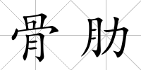 骨肋