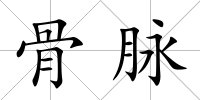 骨脈