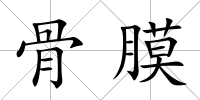 骨膜