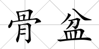 骨盆