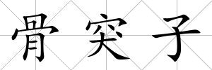 骨突子