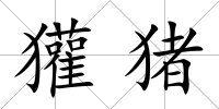 獾豬