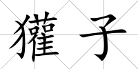 獾子