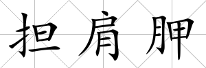 擔肩胛