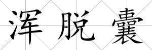 渾脫囊