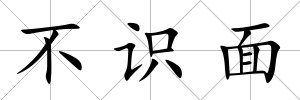 不識面