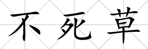 不死草