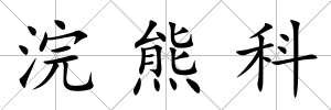 浣熊科