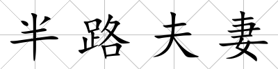 半路夫妻