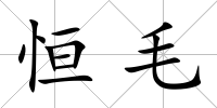 恒毛