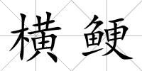 橫鯁