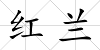 紅蘭