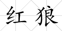 紅狼