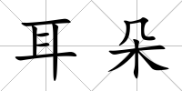 耳朵