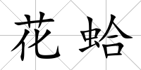 花蛤