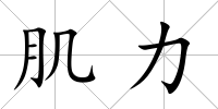 肌力