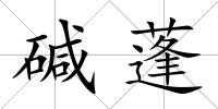 堿蓬