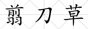 翦刀草