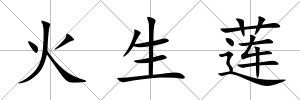 火生蓮