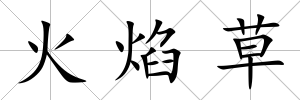 火焰草