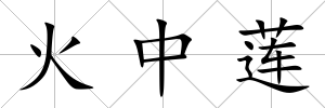 火中蓮