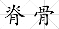 脊骨