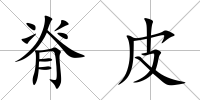 脊皮
