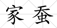 家蠶