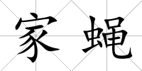 家蠅