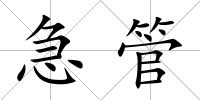 急管