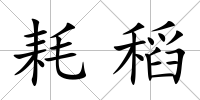 耗稻