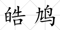 皓鳩