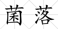 菌落
