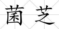 菌芝