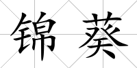 錦葵