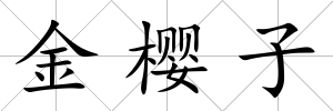金櫻子