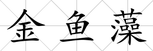 金魚藻
